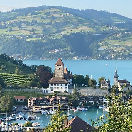Herrlicher Blick Auf Berge Und See Faulensee Kültér fotó