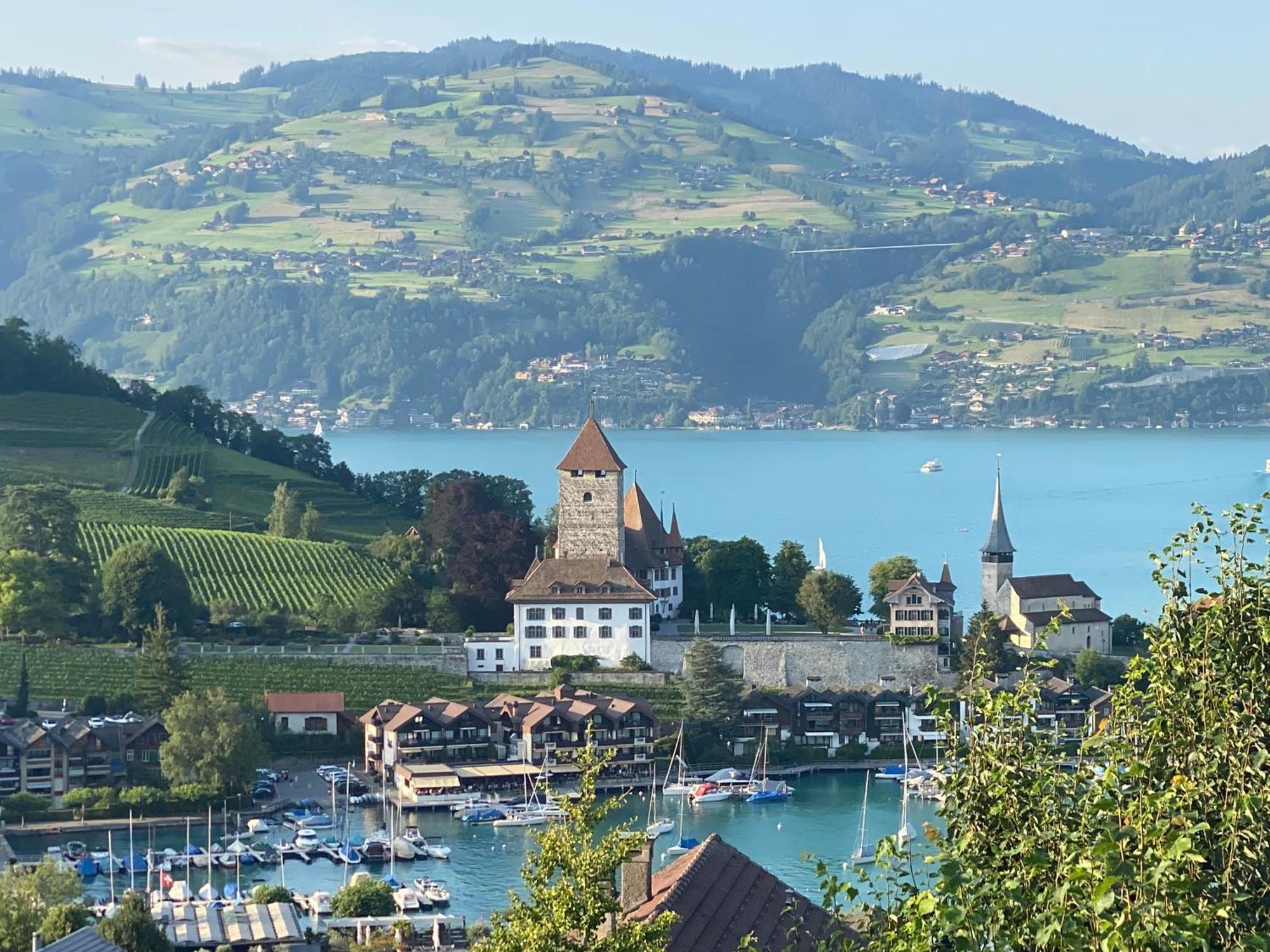 Herrlicher Blick Auf Berge Und See Faulensee Kültér fotó