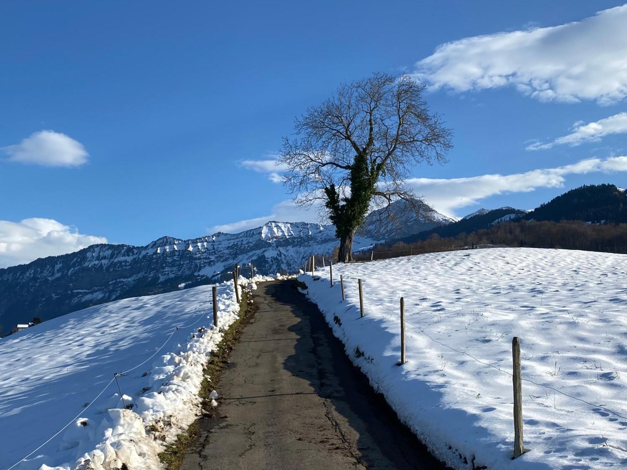 Herrlicher Blick Auf Berge Und See Faulensee Kültér fotó