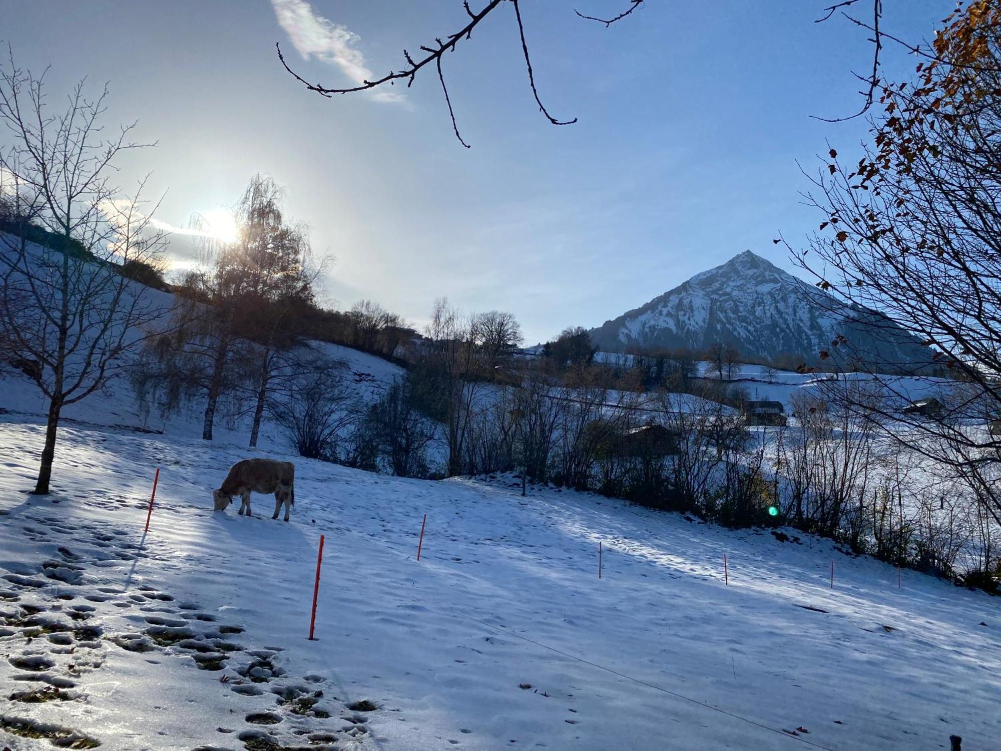 Herrlicher Blick Auf Berge Und See Faulensee Kültér fotó